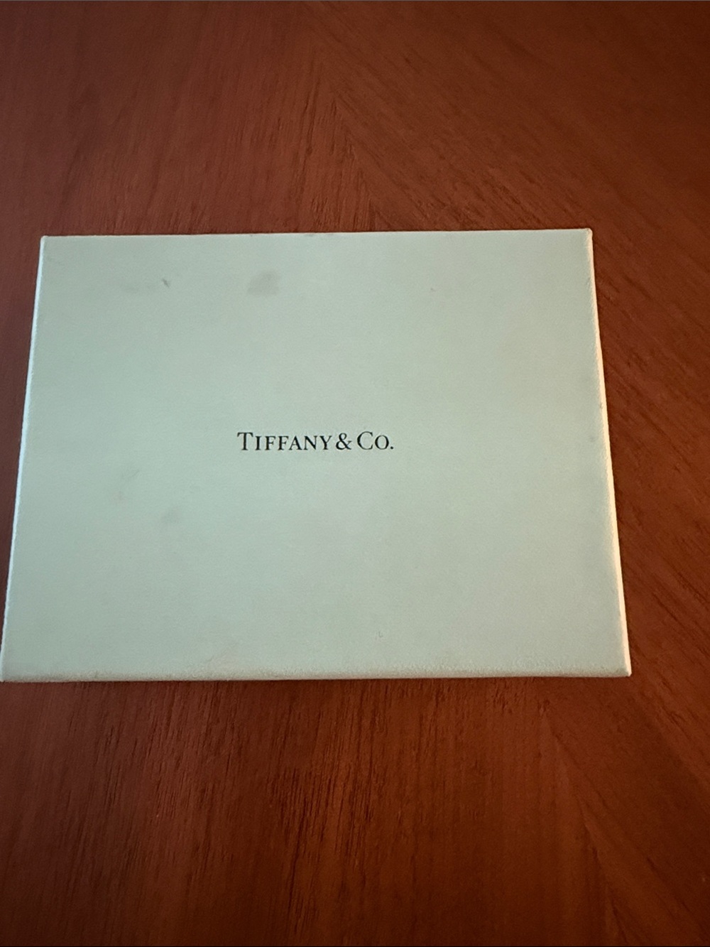 Tiffany & Co. Light Blue Presentation Box with Black Logo